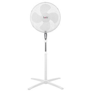 Botti USSF-831D3