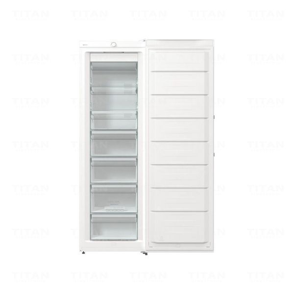 Gorenje FN619EEW5